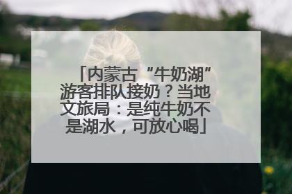 内蒙古“牛奶湖”游客排队接奶？当地文旅局：是纯牛奶不是湖水，可放心喝